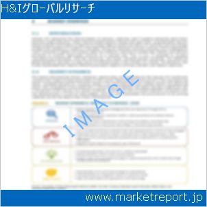 市場と産業調査レポートのイメージ